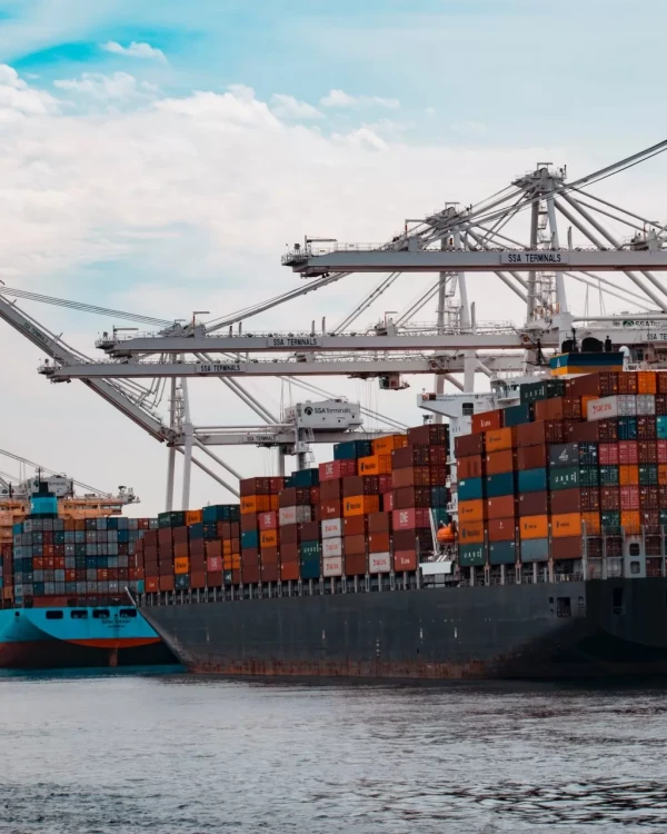Importación y Exportación